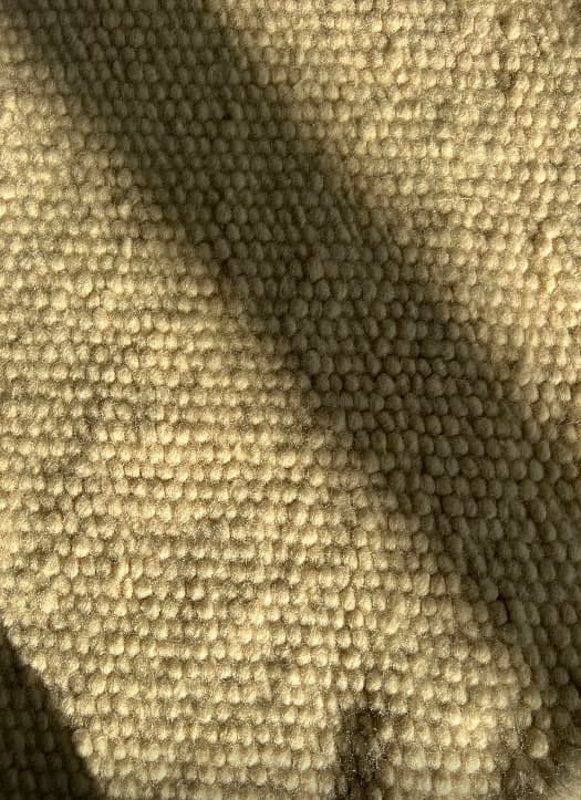 Carpet-2