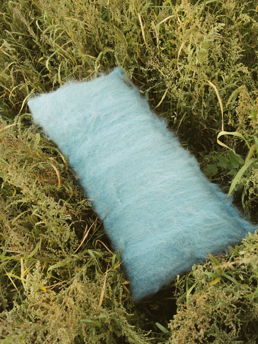 Cushion