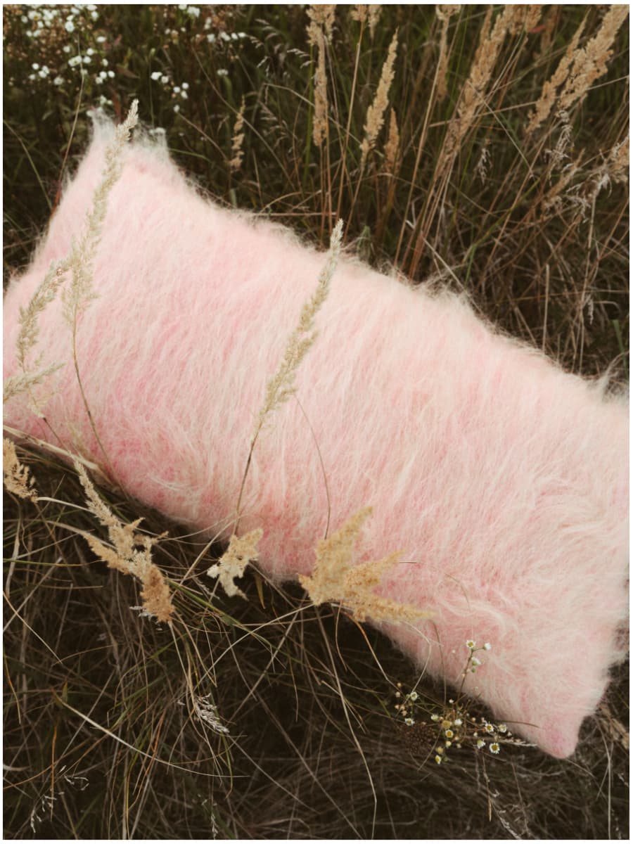 Cushion