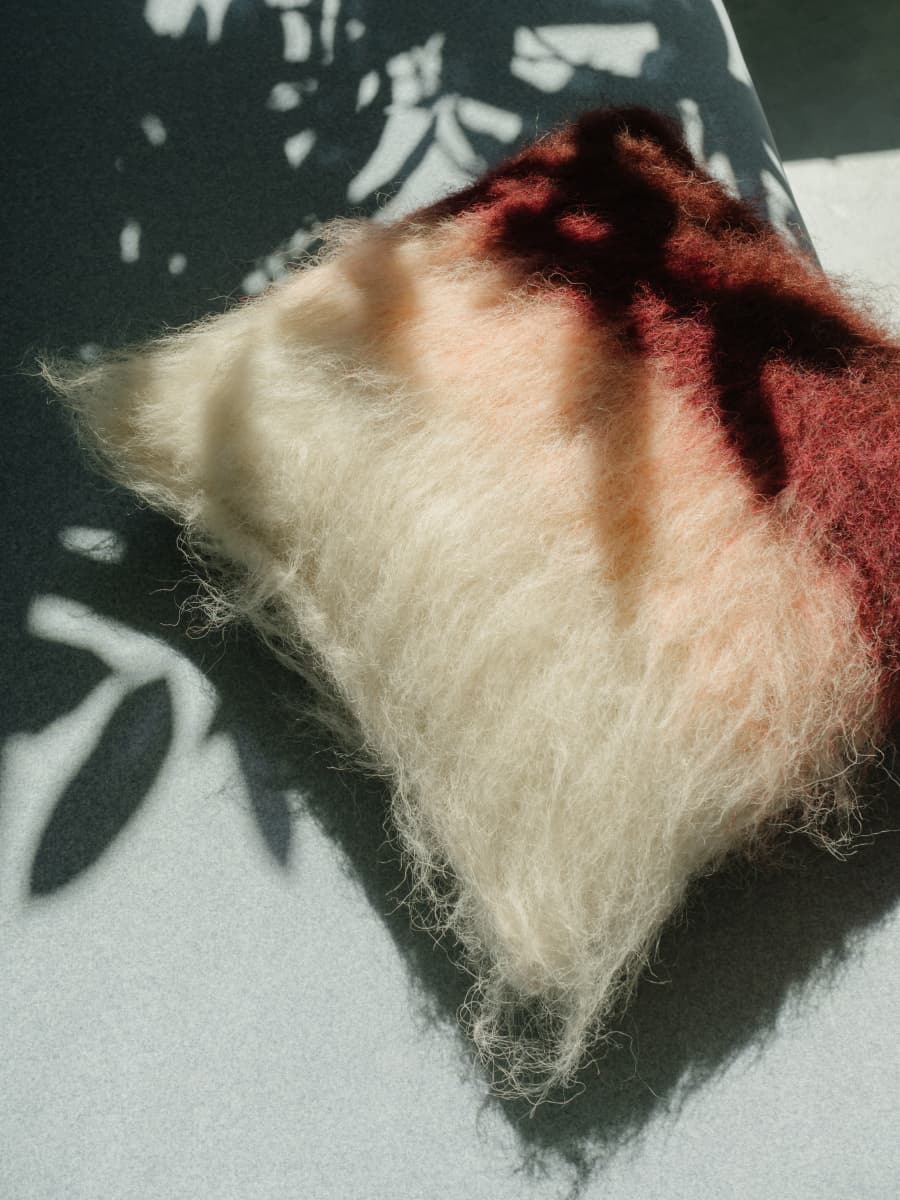 Cushion