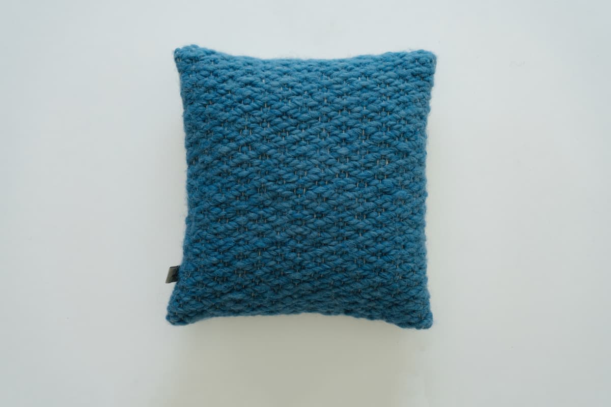 Cushion